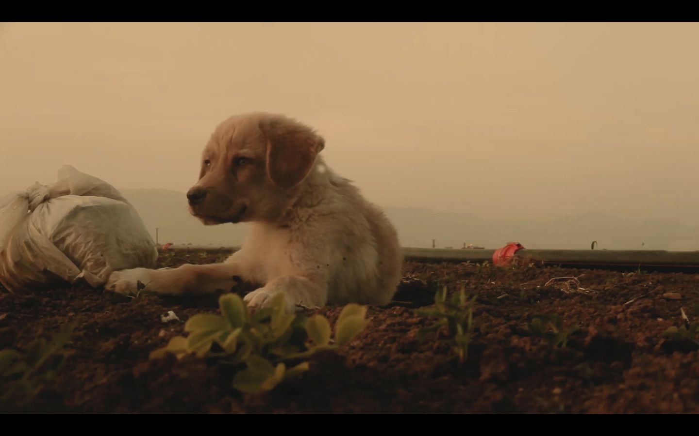 Şero filminden bir kare