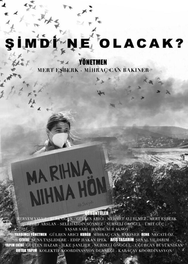 Şimdi Ne Olacak? filminin afişi