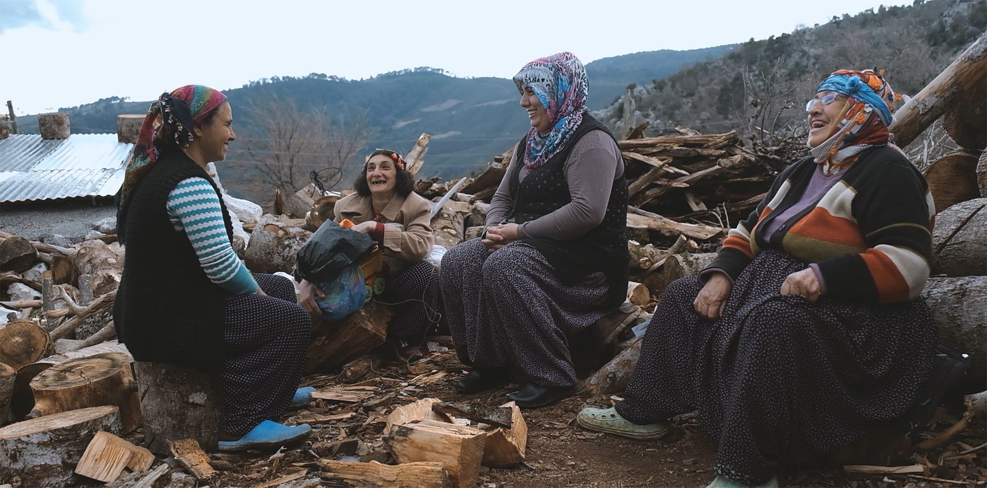 Seval afişi