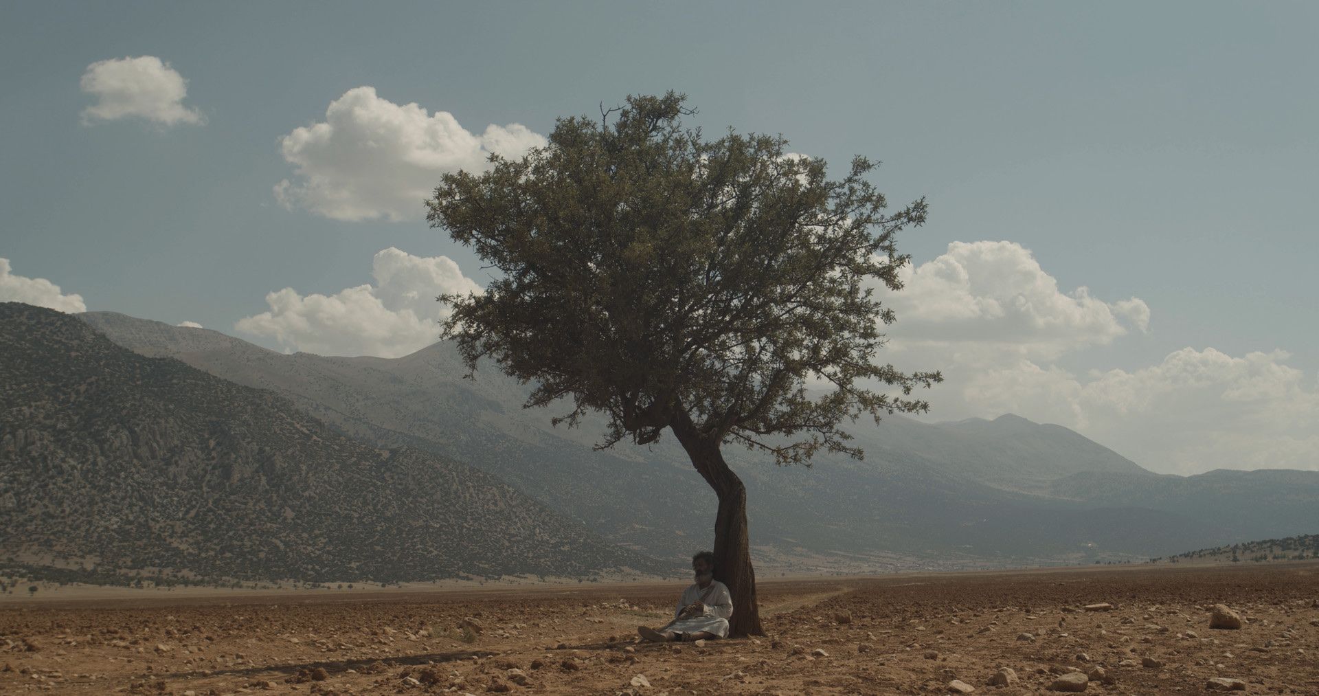 Karınca ve İnsan filminden bir kare