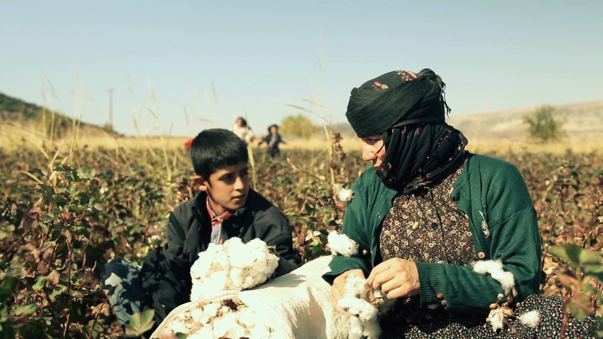 Nar Zamanı filminden bir kare