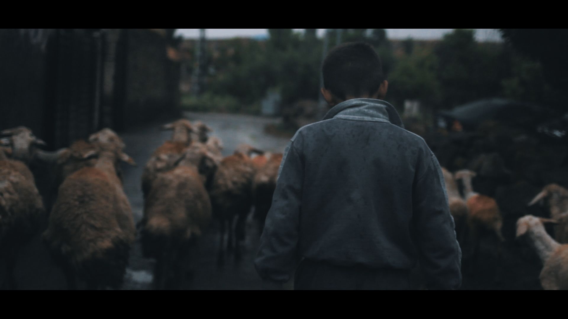 N’Olacak ? filminden bir kare