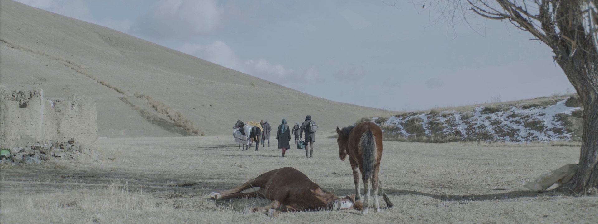 Soğuk filminden bir kare