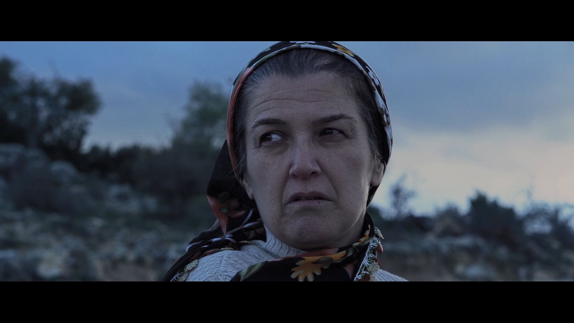 PİRABOK filminden bir kare