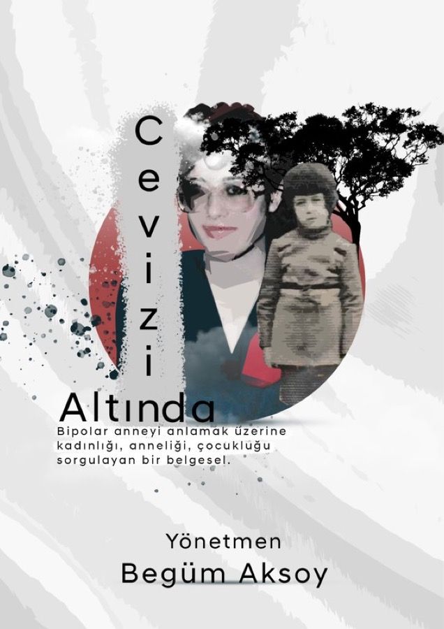 Cevizin Altında filminin afişi