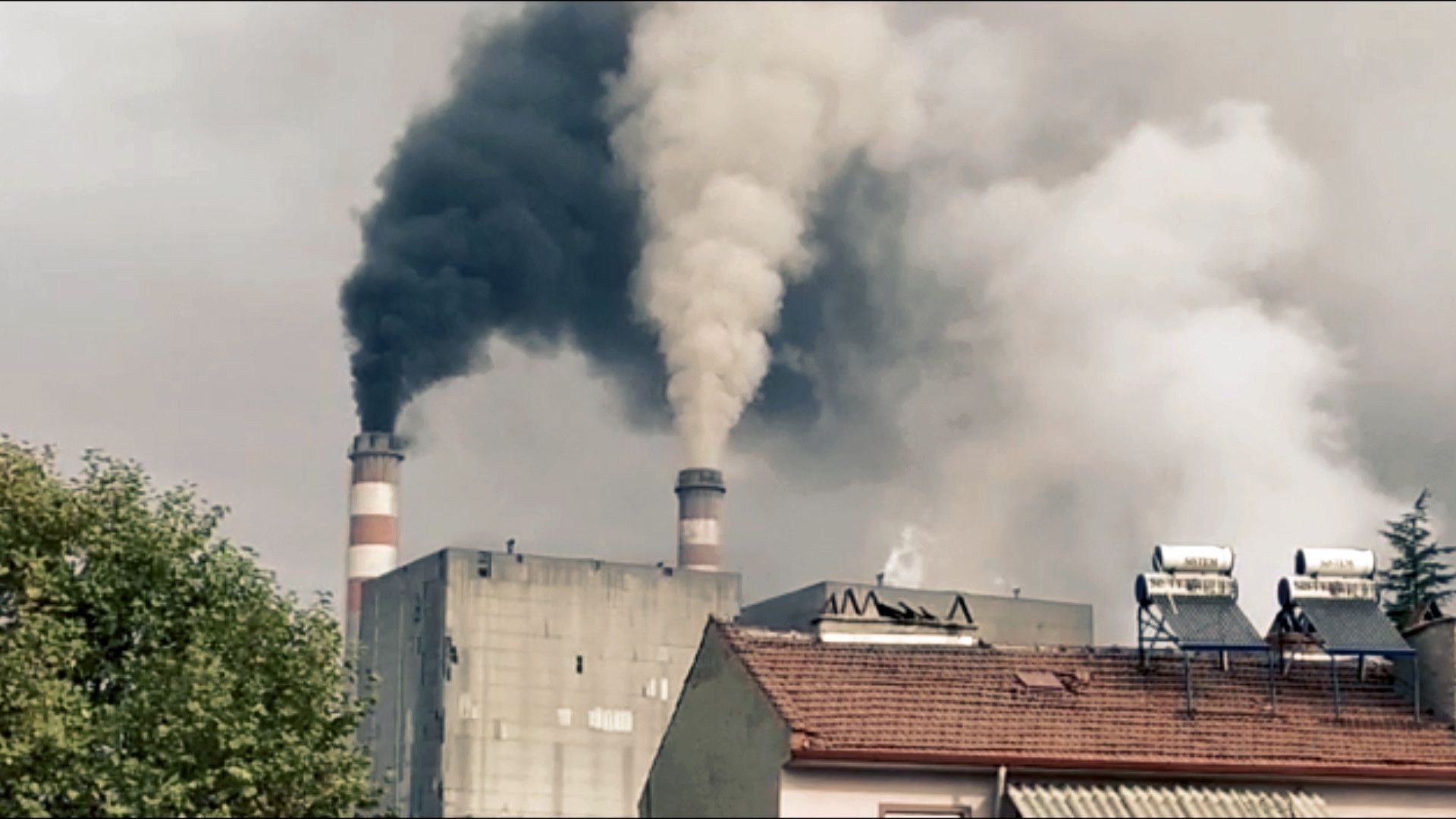 Santral filminden bir kare