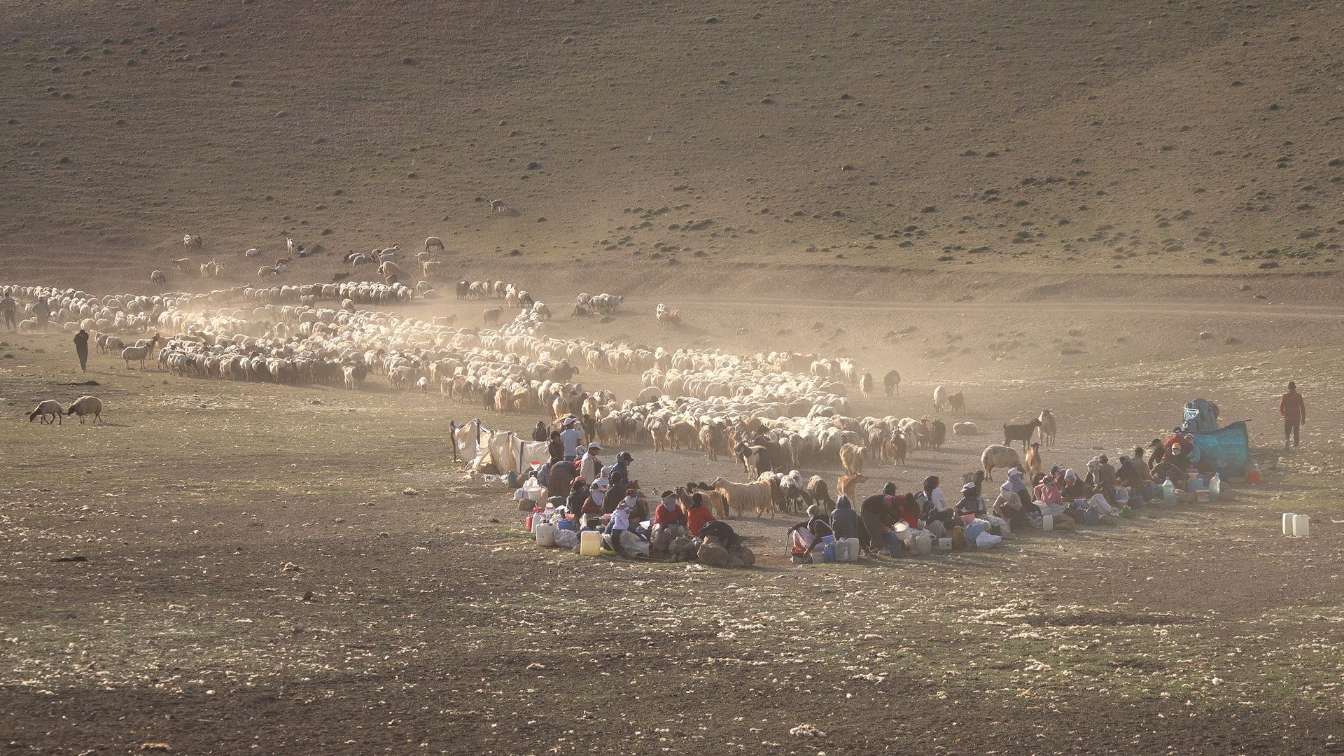 Dağların Ardındaki Berivan filminden bir kare